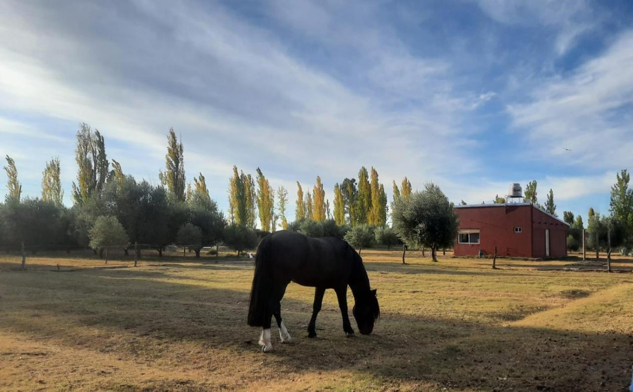 Finca La Calma San Rafael  Eksteriør bilde