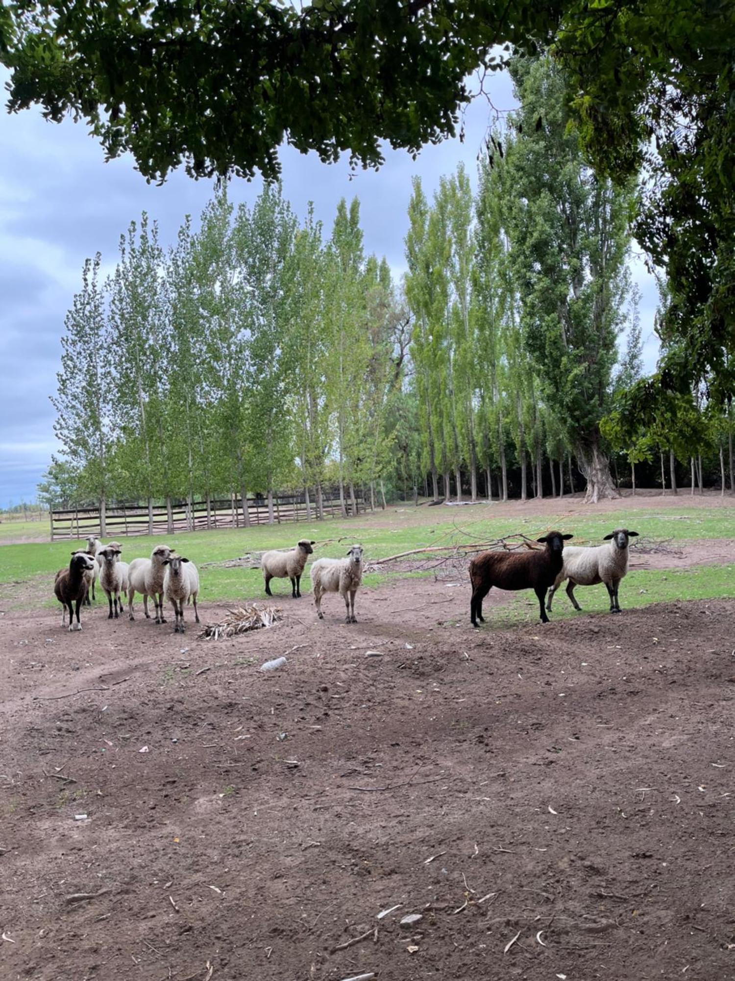 Finca La Calma San Rafael  Eksteriør bilde